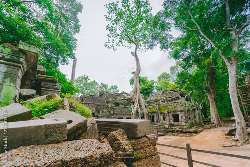 Amazing Ta Prohm temple overgrown with trees. Mysterious ruins of Ta Prohm nestled among rainforest in Angkor, Siem Reap, Cambodia.