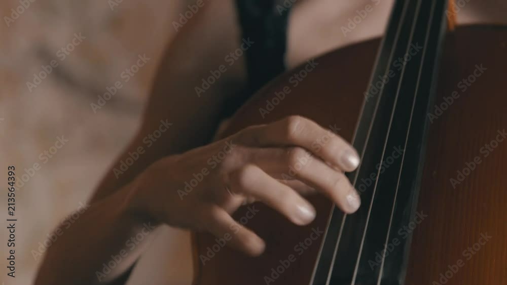 A female cellist plucks the strings of a cello while playing in a string quartet as the camera pans up to her face A female cellist plucks the strings of a cello while playing in a string quartet as the camera pans up to her face