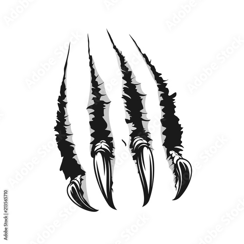 Beast scratch claw tear off paper vector