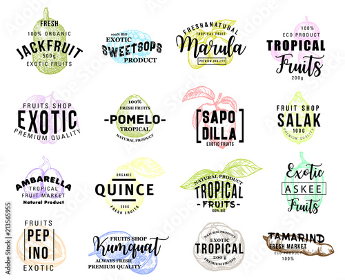 Exotic tasty tropical fruits promo sketch icons