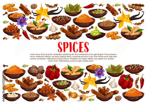 Spices and condiments cooking ingredients poster