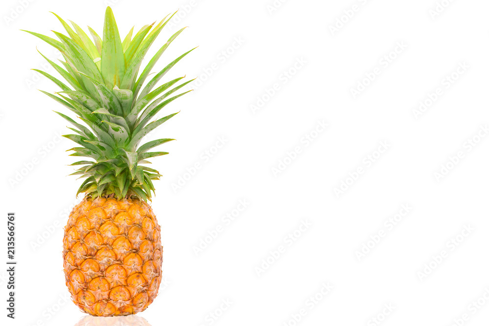 single closeup pineapple.ripe pineapple isolated on white background.one beautiful pineapple. single closeup pineapple.ripe pineapple isolated on white background.one beautiful pineapple.
