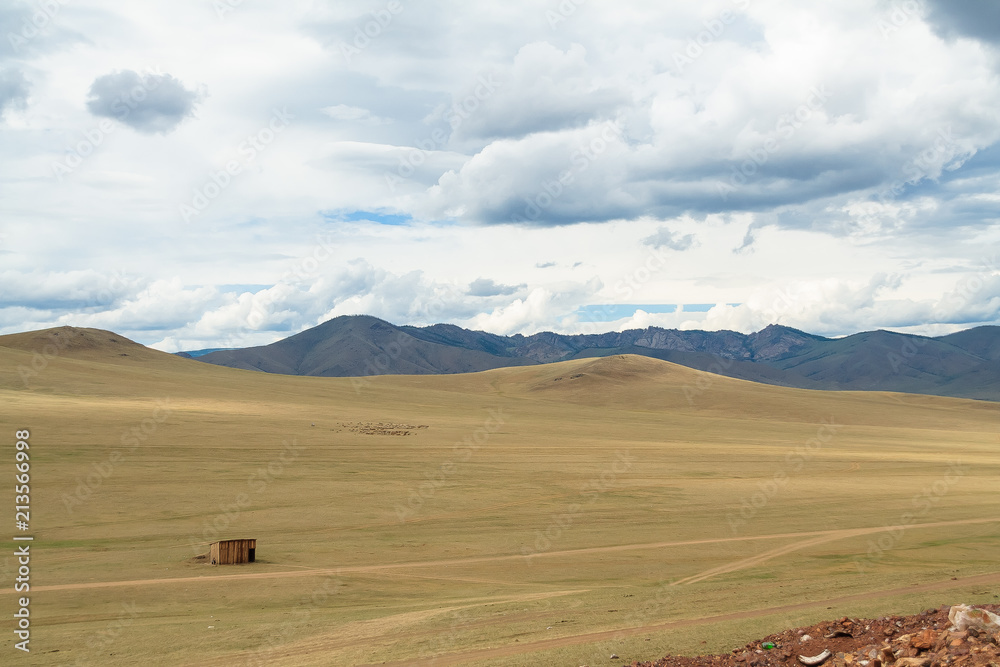 Obraz premium pasture Peaceful Mongolia