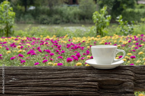 white ceramic coffee cup in the nature