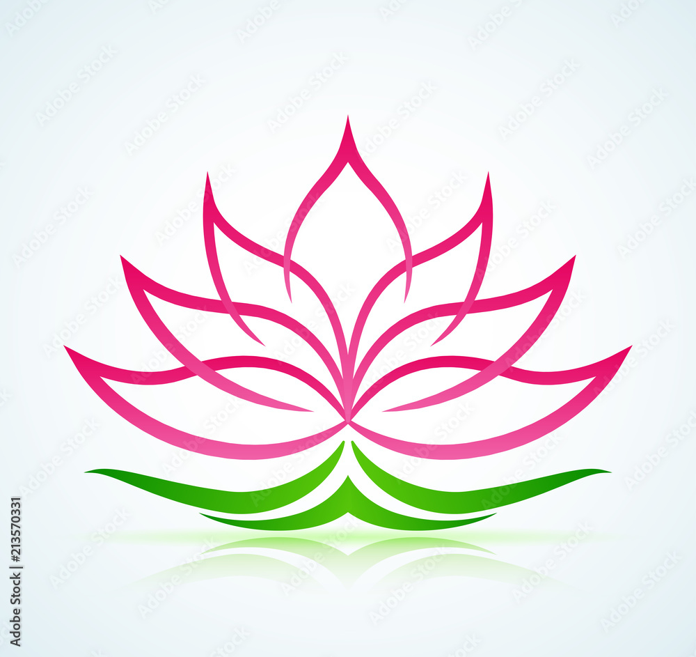 lotus flower on white background lotus flower on white background