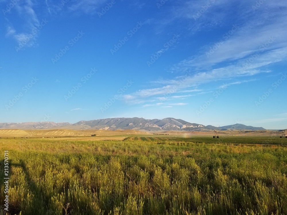 Yellow and Green Fields Being Watered by Agriculture Sprinkler with Montana Mountains Yellow and Green Fields Being Watered by Agriculture Sprinkler with Montana Mountains