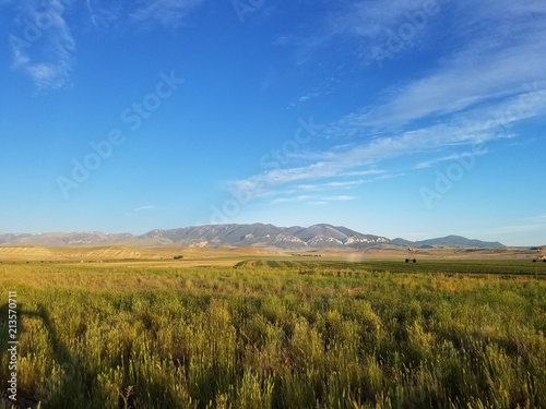 Yellow and Green Fields Being Watered by Agriculture Sprinkler with Montana Mountains
