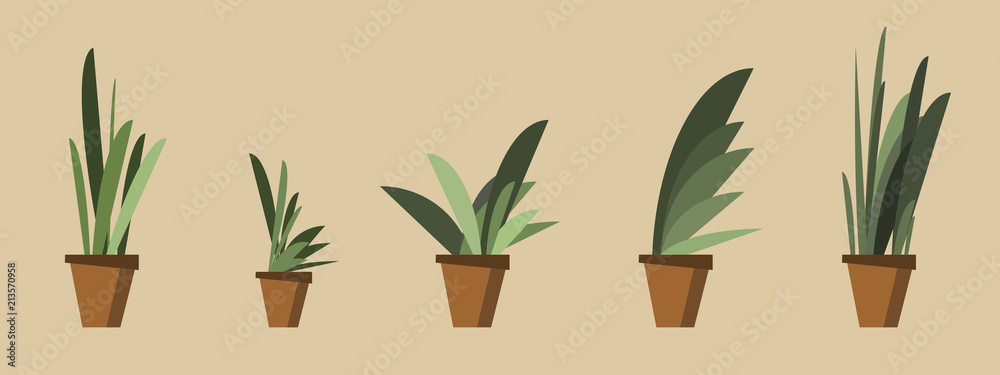 tree in pot set vector illustration tree in pot set vector illustration