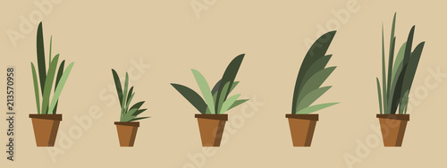 tree in pot set vector illustration 