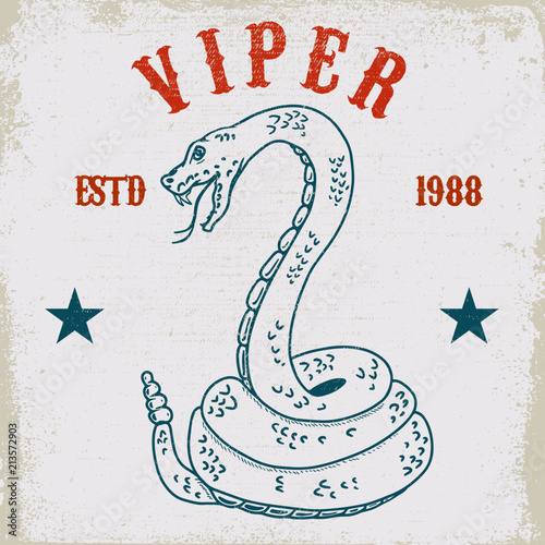 Viper snake illustration on grunge background. Design element for poster, card, t shirt, emblem.