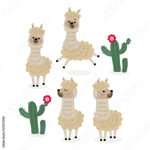 Cute alpaca vector. Animal wildlife cartoon character.