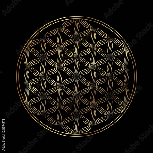 Flower of life vector  icon
