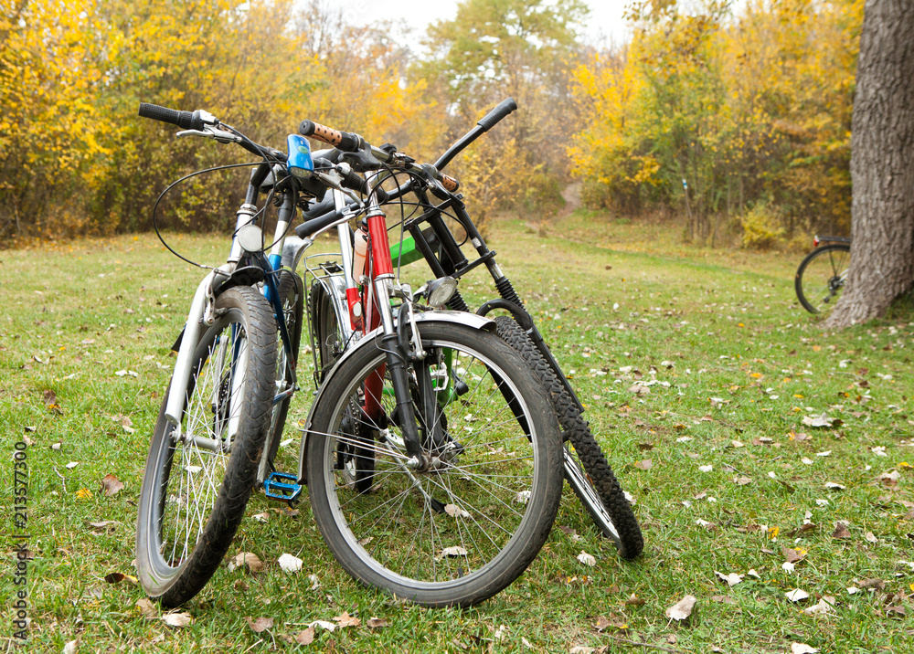 Three tourist bicycles stand in an autumn forest against a background of trees with yellow foliage