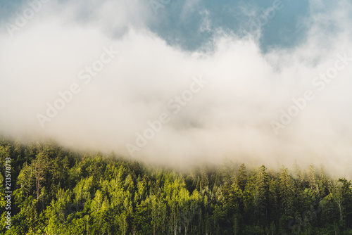 Foggy forest on left riverbank