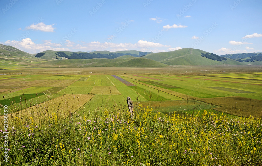 Umbria, Italy, summer 2018, cultivated fields of Pian Grande karst plan, near Castelluccio di Norcia, with Sibillini mountains. A stake with barbed wire in the foreground