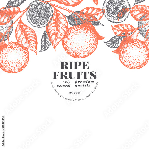 Orange fruit design template. Hand drawn vector fruit illustration. Engraved style vintage citrus background.