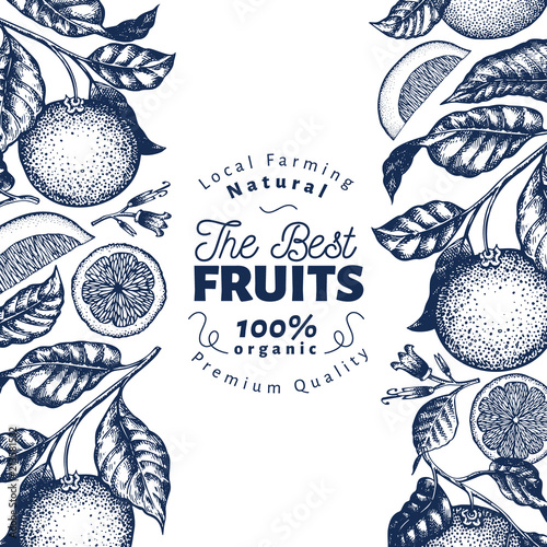 Orange fruit design template. Hand drawn vector fruit illustration. Engraved style vintage citrus background.