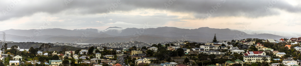 Residential area in Wellington, New Zealand