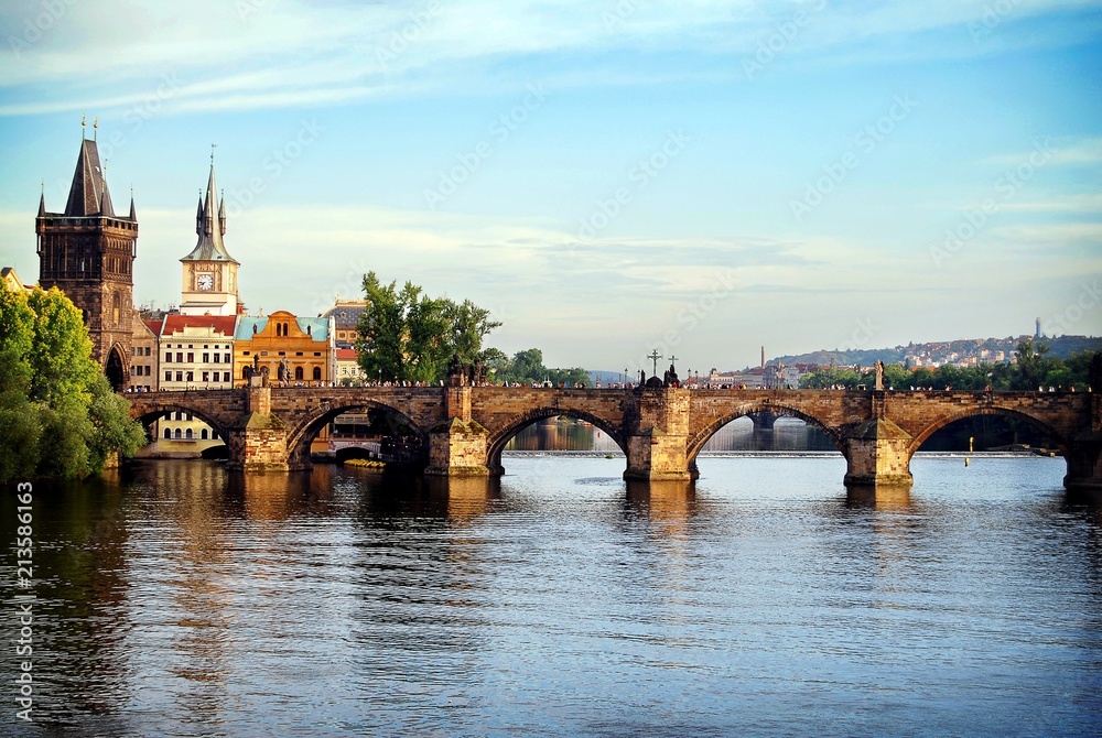 Obraz premium bridge