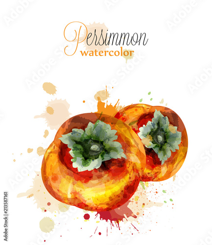 Persimmon fruits watercolor Vector. delicious summer exotic illustrations
