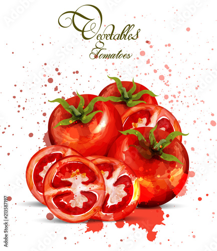 Watercolor tomatoes Vector. Delicious design with colorful stains handrawn