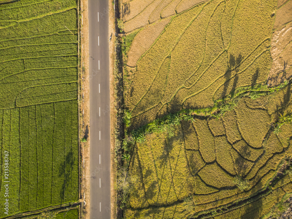 Green rice field aerial top view; Yogyakarta, Indonesia - 15 July 2018