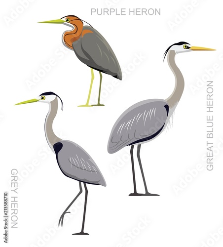 Fotografie, Obraz Bird Heron Set Cartoon Vector Illustration