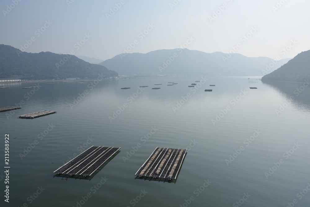 日本の岡山の備前市の片上湾の牡蠣筏