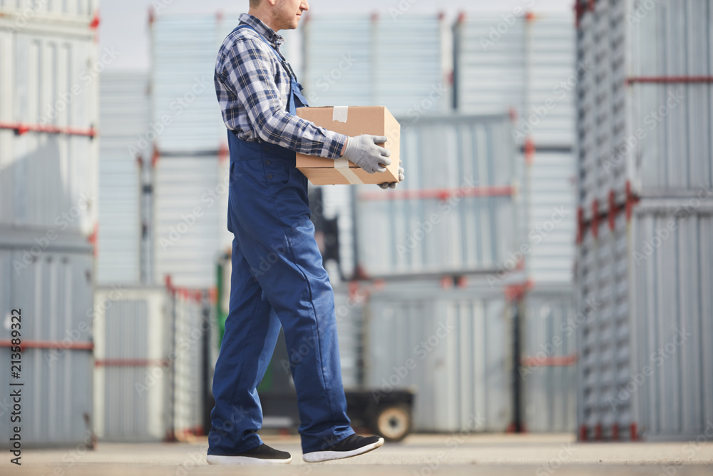 Cargo mover in checkered shirt and overall carrying cardboard box while walking over container storage area