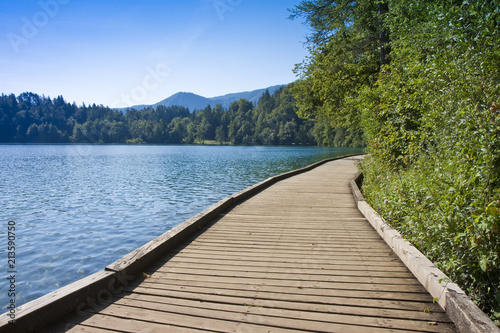 Wooden footpath along Bled lake with a wooden bench in summer season - (Europe - Slovenia)