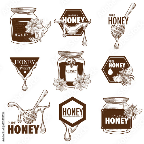 Bee honey product vector sketch icons