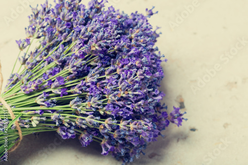 Lavender flowers close up