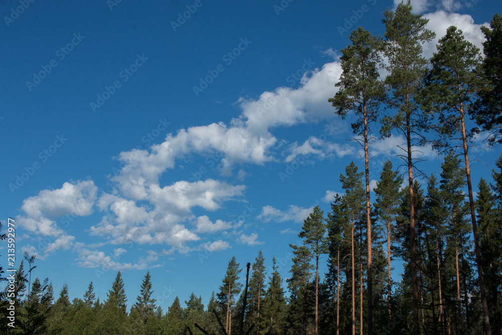 Wolken und blauer Himmel Wolken und blauer Himmel