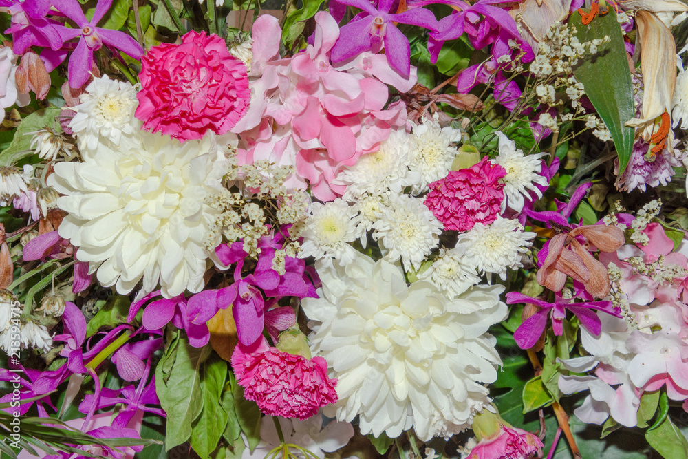 Close up group of white and pink flowers and leaves in colorful tone.