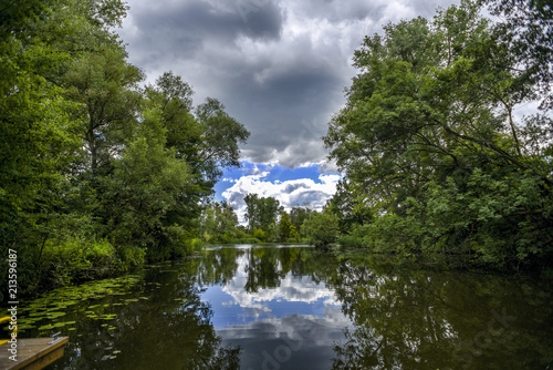 River landscape, greenery by the water. © Kozioł Kamila