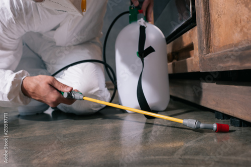 cropped image of pest control worker spraying pesticides on floor in kitchen