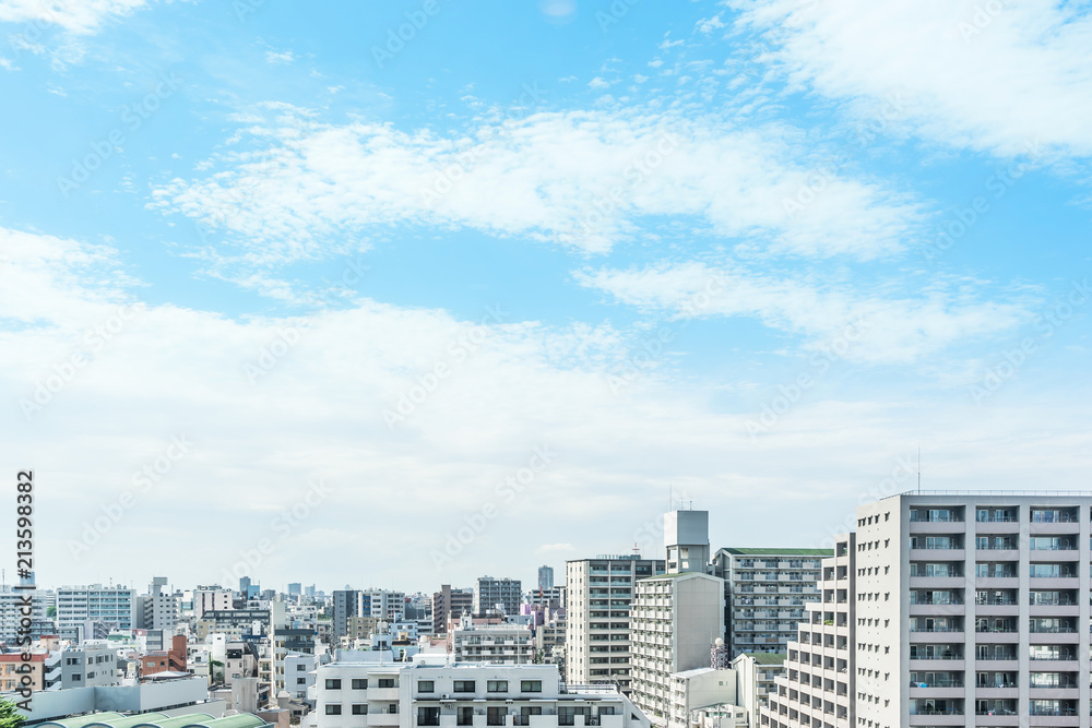 Asia Business concept for real estate and corporate construction - panoramic modern city urban skyline bird eye aerial view under sun & blue sky in Tokyo, Japan