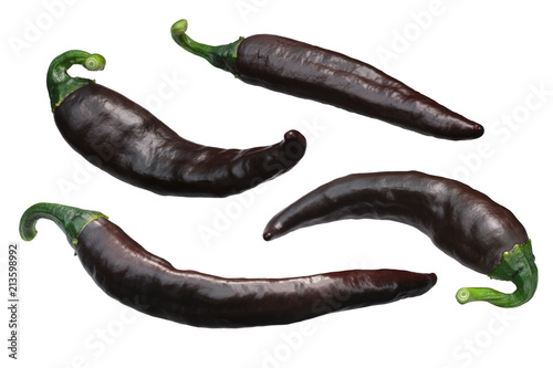 Brown Chilaca Pasilla chile peppers, paths