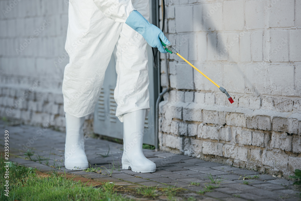 cropped image of pest control worker spraying pesticides with sprayer on building wall