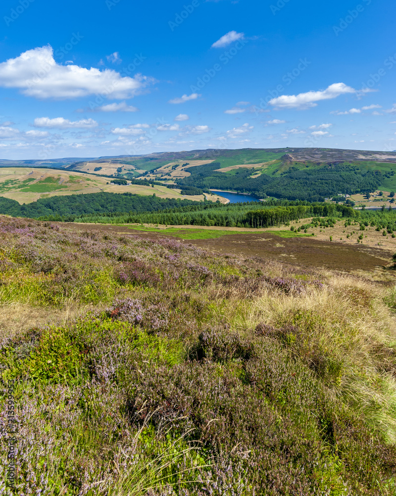 Naklejka premium The Moor.