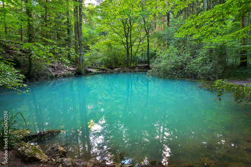 beautiful pond in the woods, Ochiul Beiului, Caras Severin county, Romania