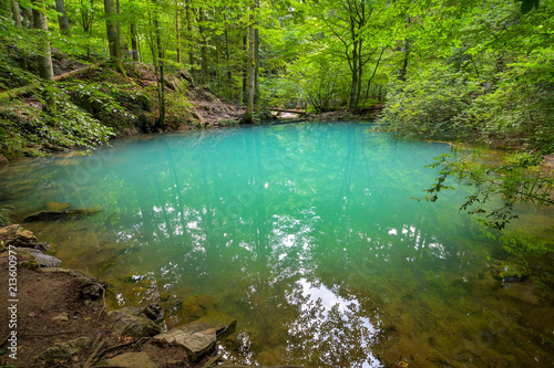 beautiful pond in the woods, Ochiul Beiului, Caras Severin county, Romania