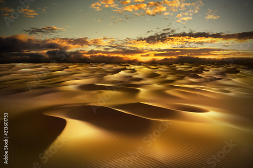 Desert with sand dunes.