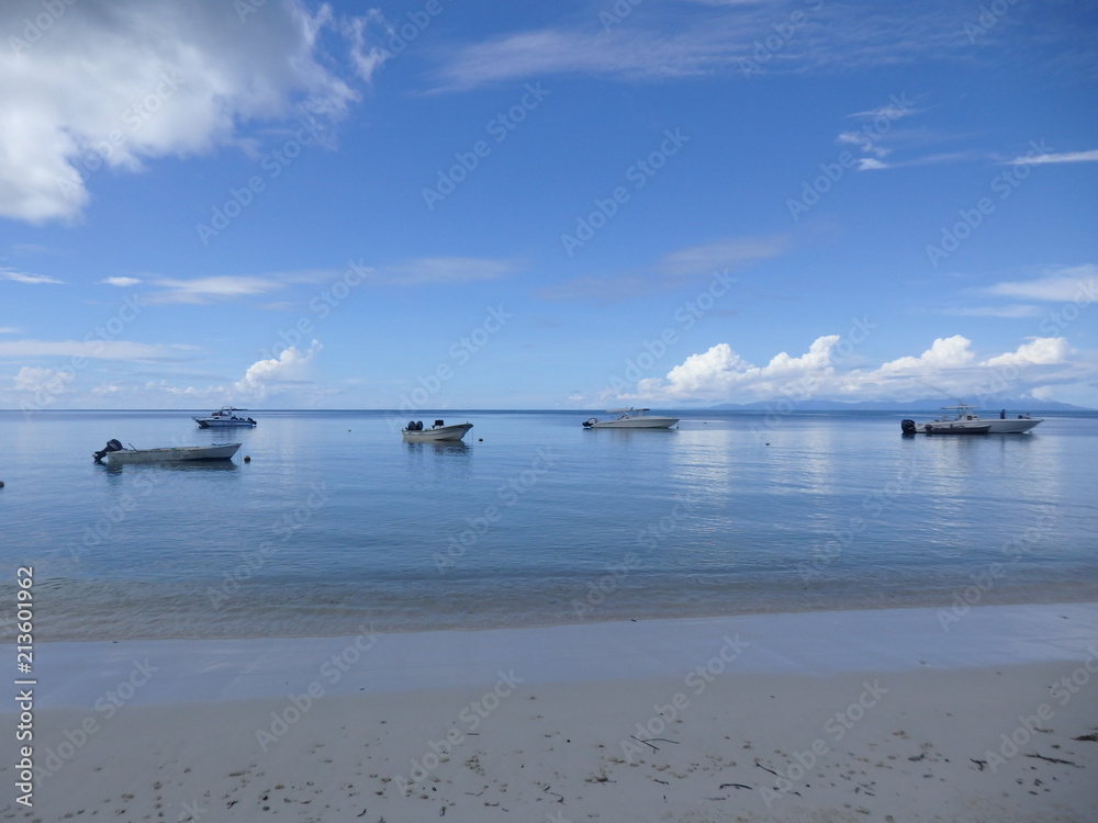 Seychellen - Praslin - Grand Anse 