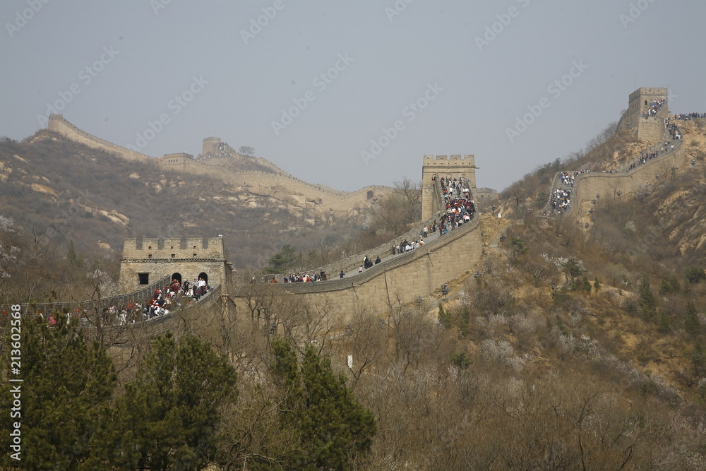 Fototapeta premium The Great Wall China