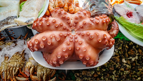 Fototapeta Naklejka Na Ścianę i Meble -  Waiter showing raw octopus plate