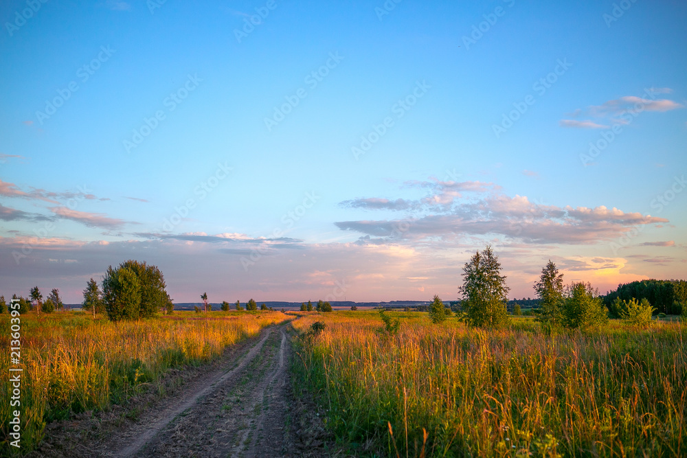 Fototapeta premium Country road in summer in sunset rays