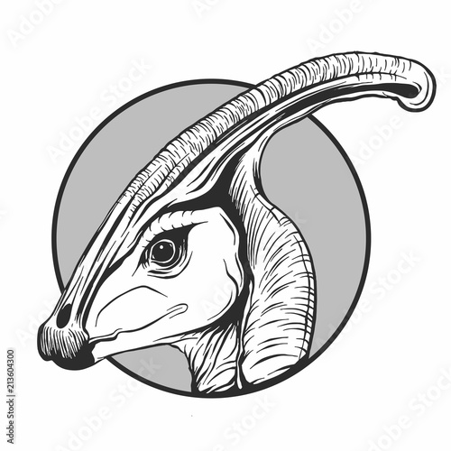 Illustrazione della testa di un dinosauro fatta in stile vettoriale