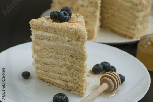 Slice of layered homemade honey cake selective focus bluebery white round plate black background photo