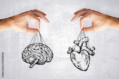 logic and feel concept with heart and brain photo